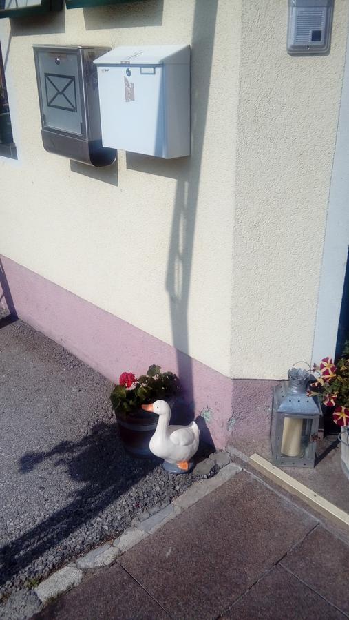 Gasthof Schönblick Hotell Rußbach am Paß Gschütt Exteriör bild
